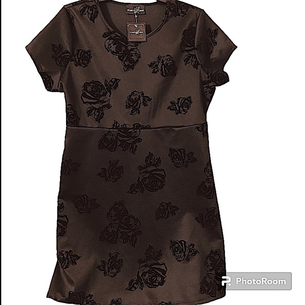 Lexington Avenue Women’s Plus Size 2x Pullover Vampy Velour Roses Scuba  Dress
